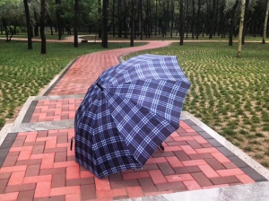 透水磚-森林公園